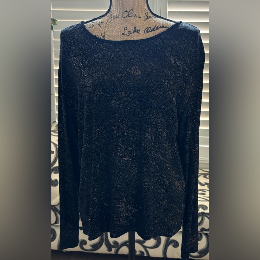 Chico’s Dressy Long Sleeve Top